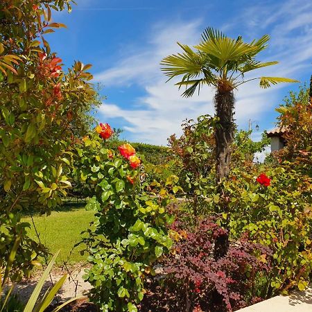 La Cabane Du Pesquier En Provence Caumont-sur-Durance Екстериор снимка