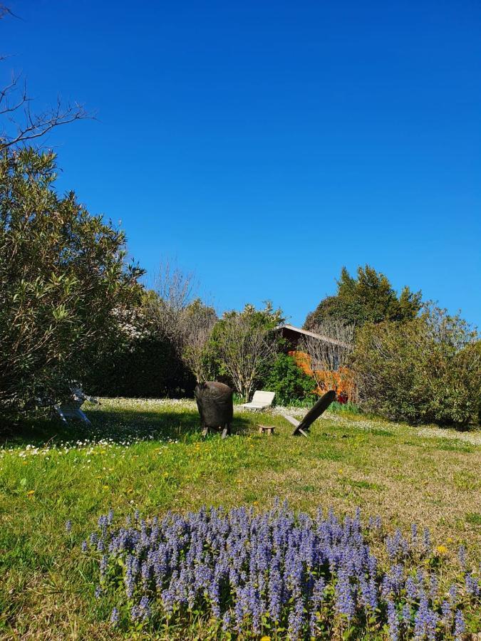 La Cabane Du Pesquier En Provence Caumont-sur-Durance Екстериор снимка